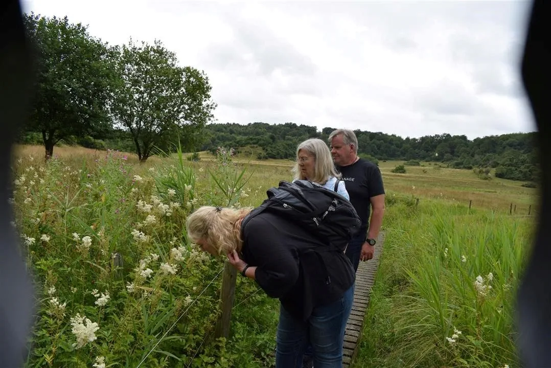 G21.5  bramslev bakker to hobro walk along mariager fjord (17)